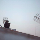 Un joven utiliza su teléfono en un tejado, en Menorca. DAVID ARQUIMBAU SINTES