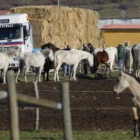 El 16 de noviembre volvió la ayuda de la Junta a la explotación ganadera.