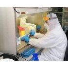 Un especialista de la Universidad de León realizando ayer una prueba del tipo PCR. DL