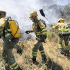 Los forestales piden trabajar más meses para realizar labores silvícolas y prevenir fuegos. BRUNO MORENO