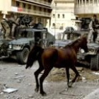 Soldados iraquíes arrastran por las calles de Bagdad a un pura sangre árabe robado en los saqueos