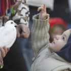 Un niño muestra el camino a una paloma para llegar a un cielo que parece más tranquilo que la tierra