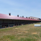 Exterior de una de las granjas de gallinas camperas de Huevos Guillén en Alcuetas (Villabraz). DL