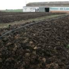 Campo de explotación de humus de lombrices en el Órbigo, en una de las dos fábricas de la provincia