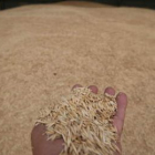 La Junta considera que el sector agroalimentario queda abandonado en la ley del Gobierno.