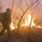 Incendio de este verano en la zona del Curueño. FERNANDO OTERO
