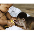 Imagen de una exposición fotográfica multimedia, con trabajos del venezolano Antonio Briceño y de Lorant. ATTILA LORANT