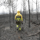 Incendio forestal en el Curueño declarado en mayo.