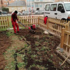 Trabajos de preparación de los terrenos para la siembra. DL