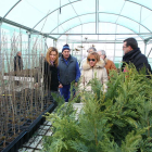 La presidenta visitó el vivero, junto al polígono de León, donde trabajan tres personas.