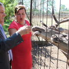 Gutiérrez, junto a la directora del coto, dio de comer a los animales.