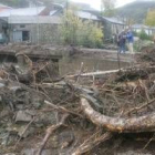 Los árboles, que arrancó el agua, fueron a parar a las calles del municipio de Vivero