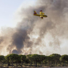 Una avioneta participa en las labores de extinción de un incendio en Huelva, en el parque de Doñana.
