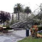 Más de 2.000 árboles resultaron dañados en Cantabria por los efectos del temporal