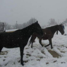 Las zonas más altas de León acumulan nieve desde hace meses