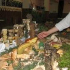 La muestra recoge la sabrosa seta «amanita cesárea»