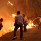 Los vecinos combaten como pueden las llamas que asolan el centro de Grecia y el Peloponeso