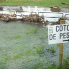 Las oficinas de Medio Ambiente de la Junta albergan mañana el sorteo de los cotos de pesca.