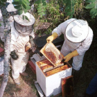 Seminario de apicultores en la zona de la Maragatería, en una imagen de archivo. DL