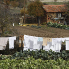 Castilla y León tiene 1.998 municipios de menos de mil habitantes. JESÚS F. SALVADORES