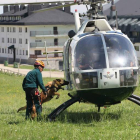 Uno de los perros de Sabero sube al helicóptero en un ejercicio.