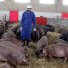 García de las Heras, en una de las naves de su granja de porcino ibérico de cebo. MARCIANO PÉREZ