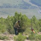 Los trabajos de reforestación son esenciales en los montes