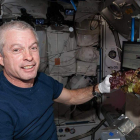 Los miembros de la tripulación de la ISS comieron algunas de las lechugas.