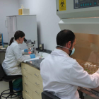 Los cultivadores, junto a la empresa Agrovet, buscan nuevas variedades de lúpulo.