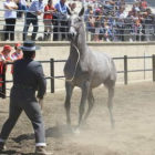 La edición de la feria de este año contó con un centenar de participantes.