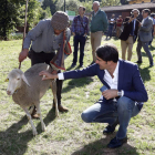 Suárez-Quiñones acaricia una oveja, ayer en Posada de Valdeón. MARCIANO