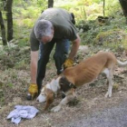 Un especialista de la Guardia Civil junto con un perro, durante la búsqueda de Laura Alonso.