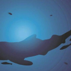 El juego de "La ballena azul" induce al suicidio.