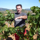 Víctor Arroyo,en su nueva plantación en la ladera nortedel Castrode la Ventosa.