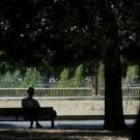 Una imagen del emblemático Paseo de Papalaguinda, en la que se advierte la sequedad del terreno