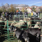Última edición de la feria de Riaño. CAMPOS