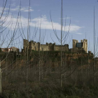 Imagen de la zona norte del castillo de Valencia de Don Juan, que se pretende consolidar.