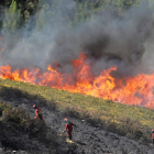 Personal del servicio de extinción de incendios combate al fuego en la Tebaida. ANA F. BARREDO