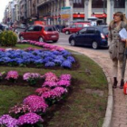 Gema Cabezas y Javier Chamorro observan las nuevas flores de Santo Domingo.