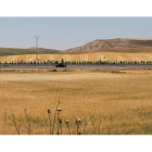 Los campos de Castilla se agostan mientras los mineros surcan su inmensidad antes de alcanzar Madrid. Ayer, en el tramo hacia Mota del Marqués.