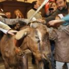 Feria de la cecina de chivo en Vegacervera