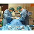 Dos cirujanos, un veterinario y un perfusionista durante una de las operaciones llevadas a cabo para la investigación.