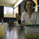 Patricia Combarros en el área de Tecnología de los Alimentos.