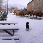 El pueblo más alto de la provincia, La Cueta, cubierto ayer de nieve. DL