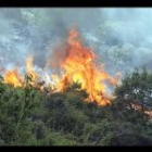 Trabadelo, Paradela y Pombriego, en el Bierzo, se han visto afectadas por un incendio que ha arrasado casi 4.500 hectáreas. Las labores de extinción se han prolongado durante casi cuatro días.