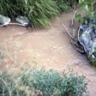 Los efectos del vertido eran visibles ayer en los cauces de los arroyos de la comarca de Gordón
