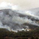 Uno de los frentes del incendio que ya ha arrasado más de 6.500 hectáreas.