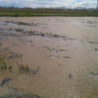 Un finca anegada hace unos días en San Pedro de las Dueñas. DL