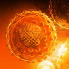 Recreación del virus de la hepatitis C. CSIC
