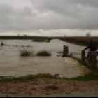 Asaja denuncia los daños por las inundaciones de la semana pasada